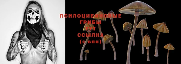 дурь Кулебаки