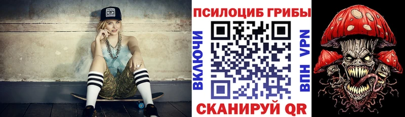 Купить  Кыштым  Псилоцибиновые грибы ЛСД 